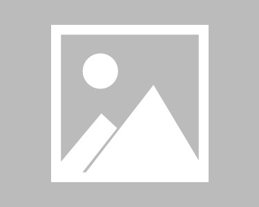 西安心有灵犀网络科技有限公司